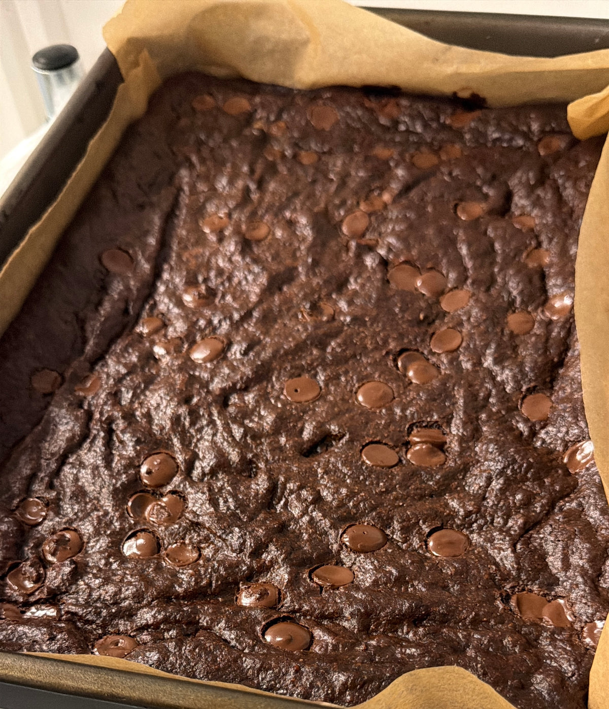 Six Box Slice of Vegan Brownie